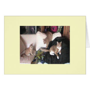 Carte de Purrtrait de famille