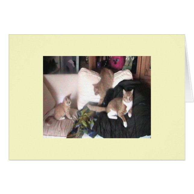 Carte de Purrtrait de famille (Devant horizontal)