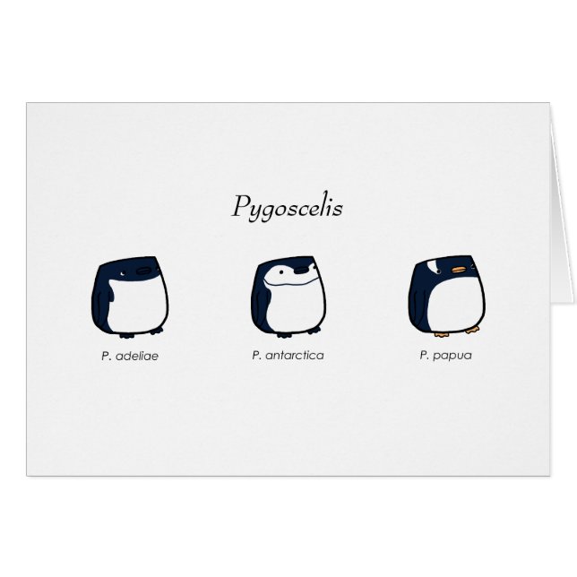 Carte de Pygoscelis (Devant Horizontal)