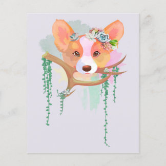 Carte de recette Corgi