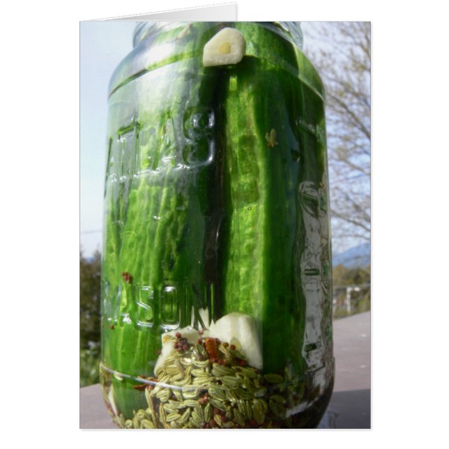 Carte de recette de pickle à l'aneth (Devant)