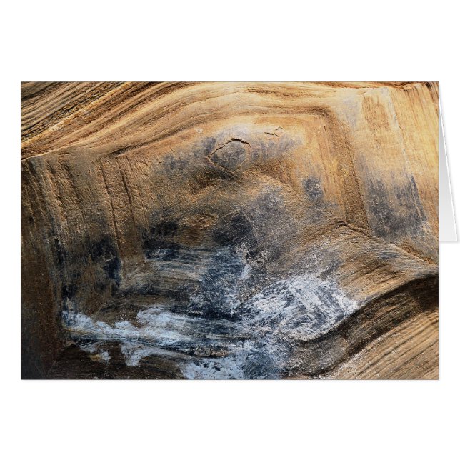 CARTE DE RÉCRÉTISSATION DE TORTOISE GIANT (Devant horizontal)