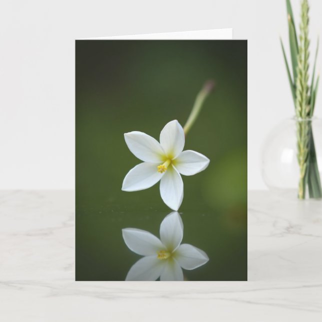 Carte de réflexion Émergence en fleurs (Devant)
