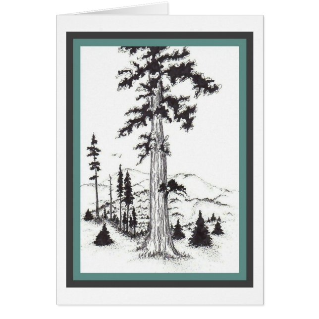 Carte de région boisée (Devant)