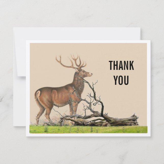 Carte de Remerciement Cerf Vintage Rustique (Devant)
