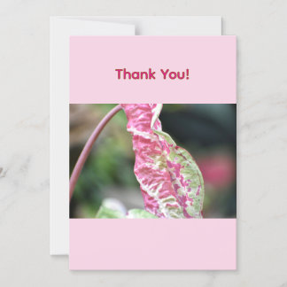 Carte de remerciement florale