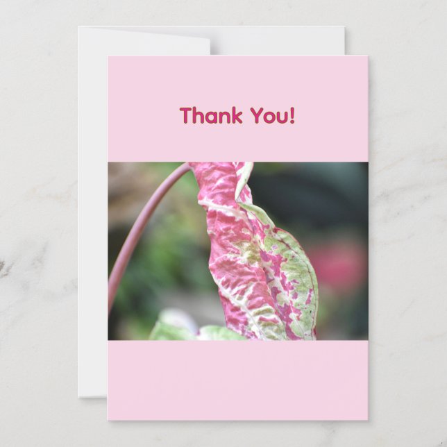 Carte de remerciement florale (Recto)