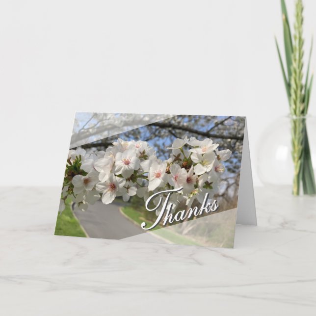 Carte de remerciement May Flowers (Devant)