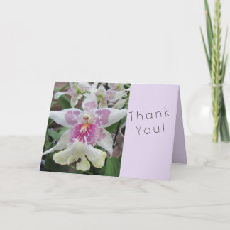 Carte de remerciement orchidée