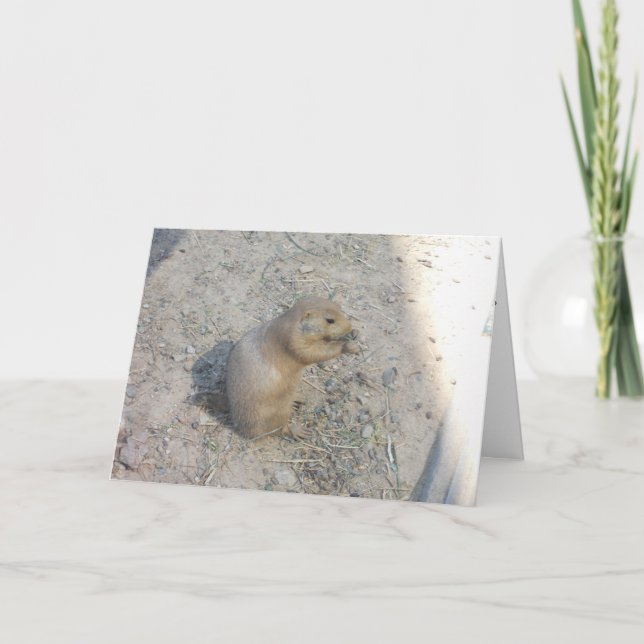 Carte de remerciement "Prairie Dog #2" (Devant)