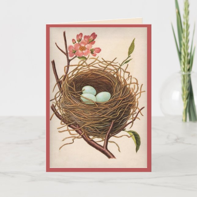 Carte de remerciement Tout Occasion Nid d'oiseau (Devant)