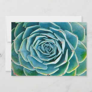 CARTE DE REMERCIEMENTS 