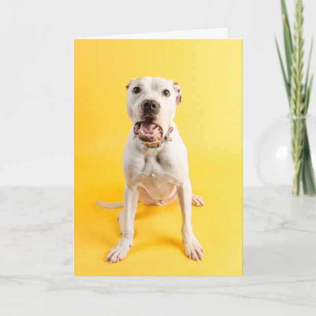 Carte de remerciements (Devant)