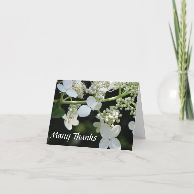 Carte de remerciements (Devant)