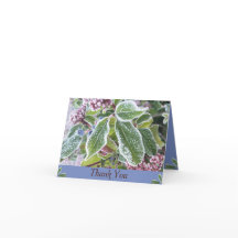 Carte de remerciements