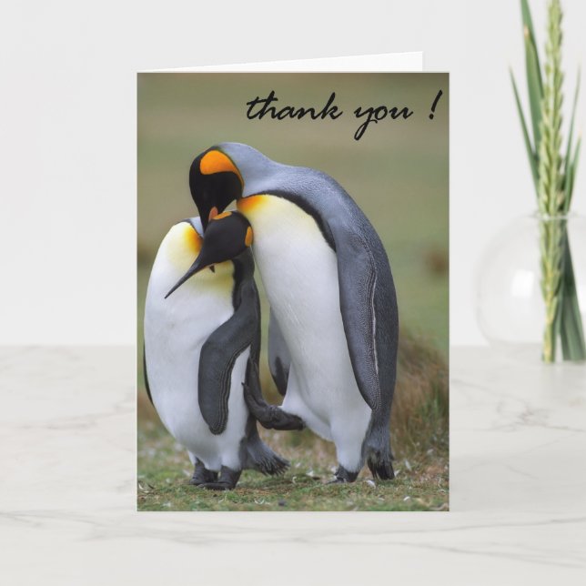 Carte de remerciements (Devant)