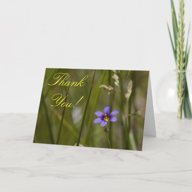 Carte de remerciements 6 de fleur sauvage (Devant)