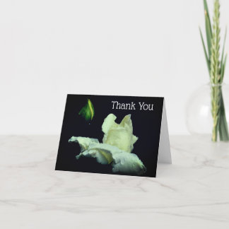 Carte de remerciements à fleurs de rose blanche