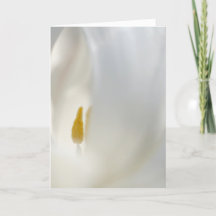 "A l'intérieur" Doux design floral blanc