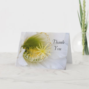 Carte De Remerciements À l'intérieur d'un cactus blanc en fleurs