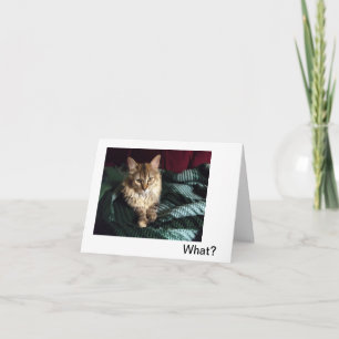 Carte De Remerciements Accueil