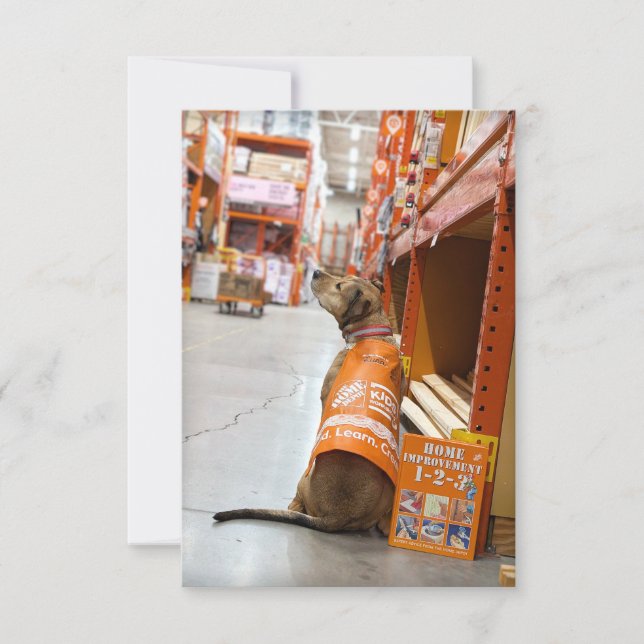 Carte De Remerciements Accueil Amélioration carnet de costume Funny Chien (Devant)