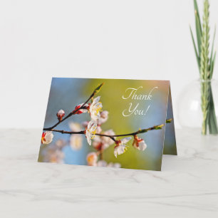 Carte De Remerciements Admirable fleur d'abricot japonais