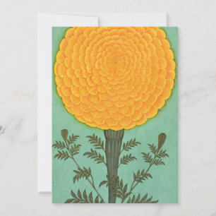 Carte De Remerciements Album de petite taille   A Marigold