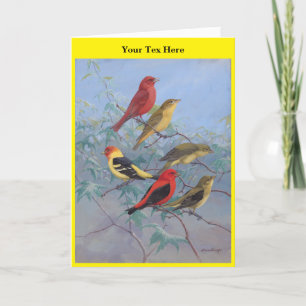 Carte De Remerciements Allan Brooks Birds no3