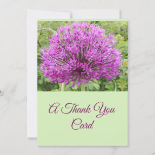 Carte De Remerciements Allium Aristocratique violet