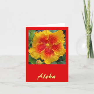 Carte De Remerciements Aloha Hibiscus