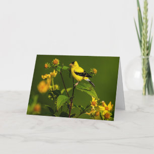 Carte De Remerciements Américain Goldfinch