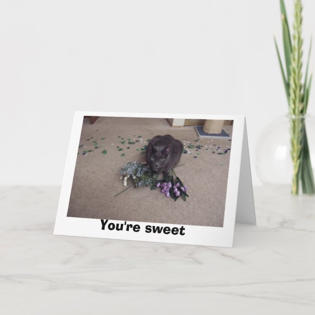 Carte De Remerciements Ami doux (Devant)