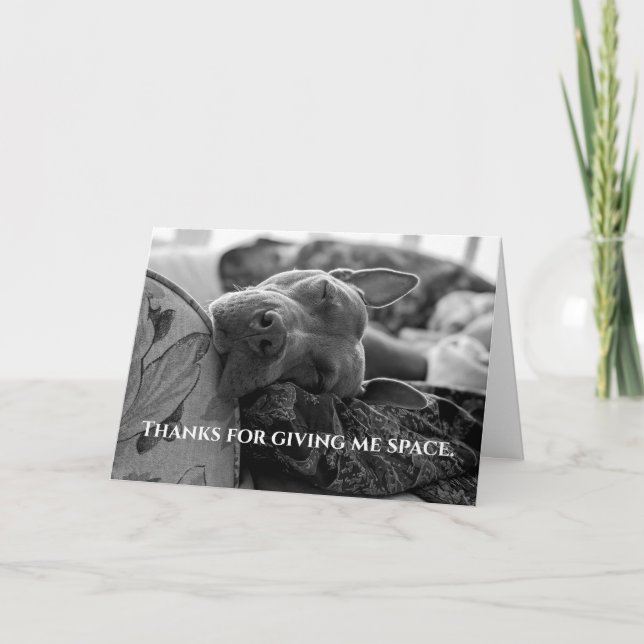 Carte De Remerciements Amour de Pitbull  (Devant)