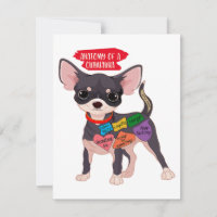Anatomie Du Cadeau Du Chihuahua