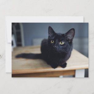 Carte De Remerciements Animaux Bébés les Plus Mignons   Portrait d'un Cha