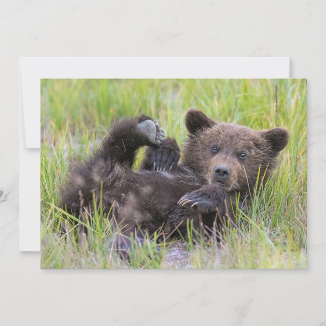 Carte De Remerciements Animaux de bébés cutest | Bébé Ours Brown (Devant)