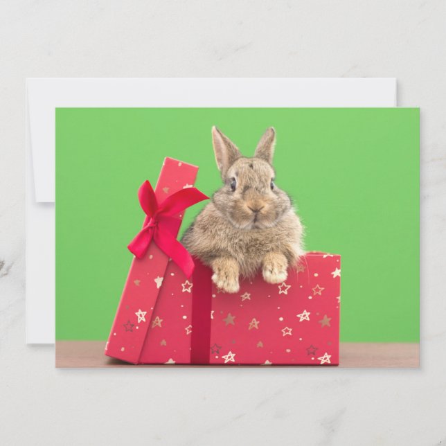 Carte De Remerciements Animaux de bébés cutest | Bunny vacances de Noël (Devant)
