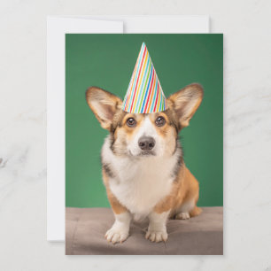 Carte De Remerciements Animaux de bébés cutest   Corgi Anniversaire Chiot
