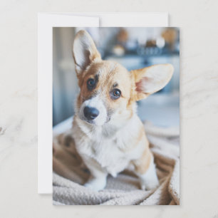 Carte De Remerciements Animaux de bébés cutest Corgi Head Tilt