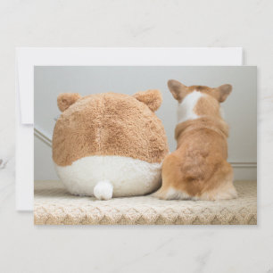 Carte De Remerciements Animaux de bébés cutest   Corgi & Plush Puppy