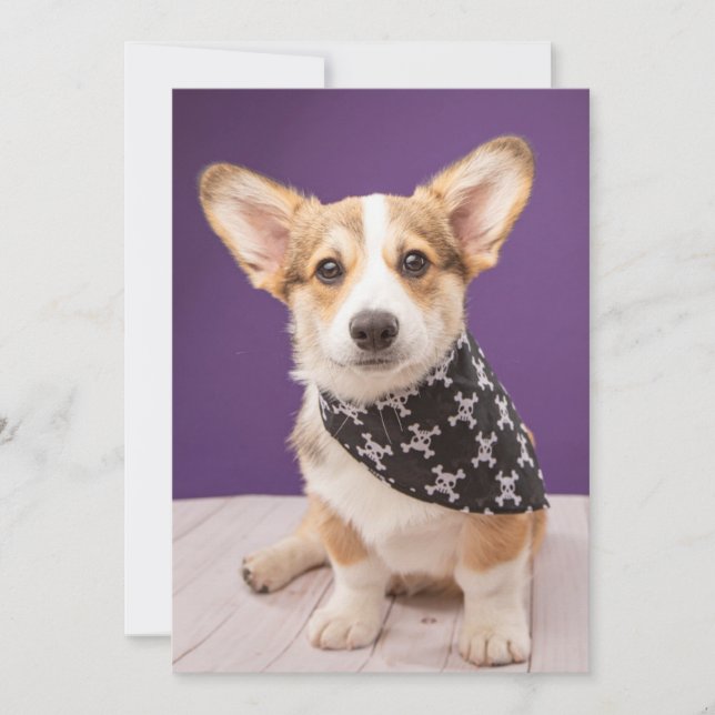 Carte De Remerciements Animaux de bébés cutest | Corgi Puppy Skull Bandan (Devant)