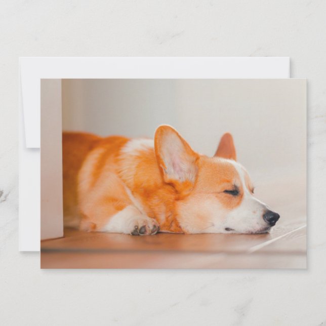 Carte De Remerciements Animaux de bébés cutest | Corgi Sleeping (Devant)