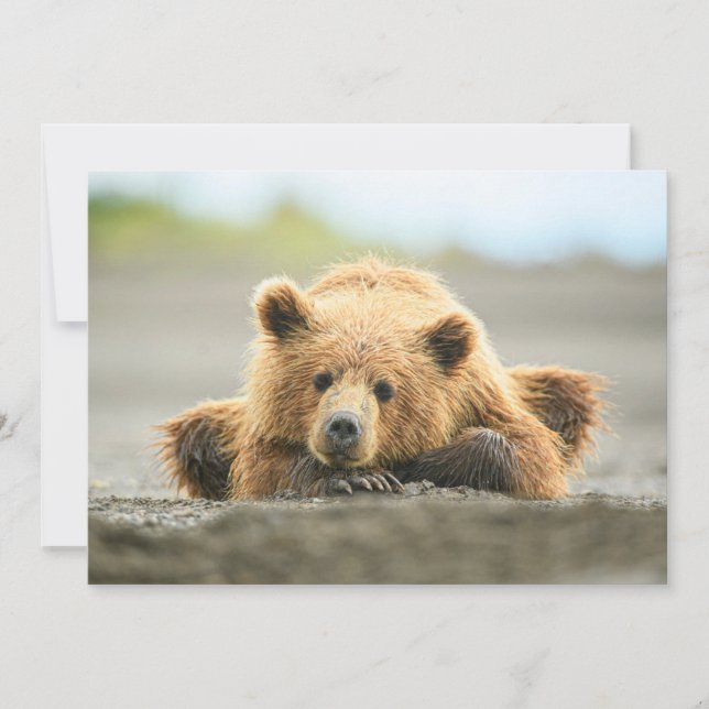 Carte De Remerciements Animaux de bébés cutest | Cub d'ours Brown côtier (Devant)