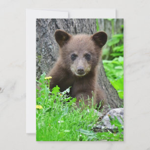 Carte De Remerciements Animaux de bébés cutest Cube d'ours Brown