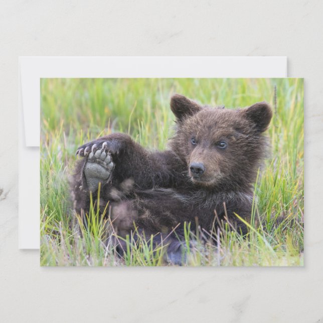 Carte De Remerciements Animaux de bébés cutest | Cute Brown Bear Cub Joue (Devant)