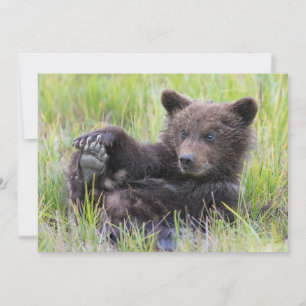 Carte De Remerciements Animaux de bébés cutest   Cute Brown Bear Cub Joue