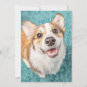 Carte De Remerciements Animaux de bébés cutest Cute Corgi Puppy Smile