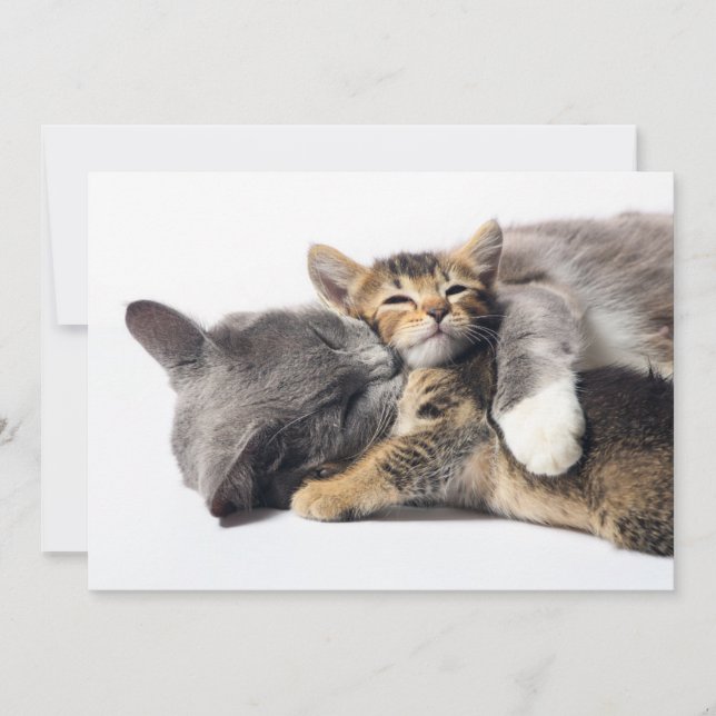 Carte De Remerciements Animaux de bébés cutest | Cute Kitten Hug (Devant)
