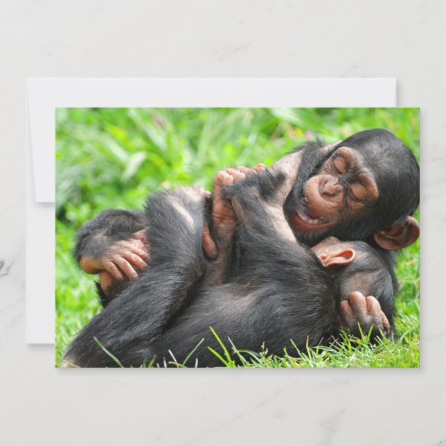 Carte De Remerciements Animaux de bébés cutest | Deux jeunes chimpanzés (Devant)